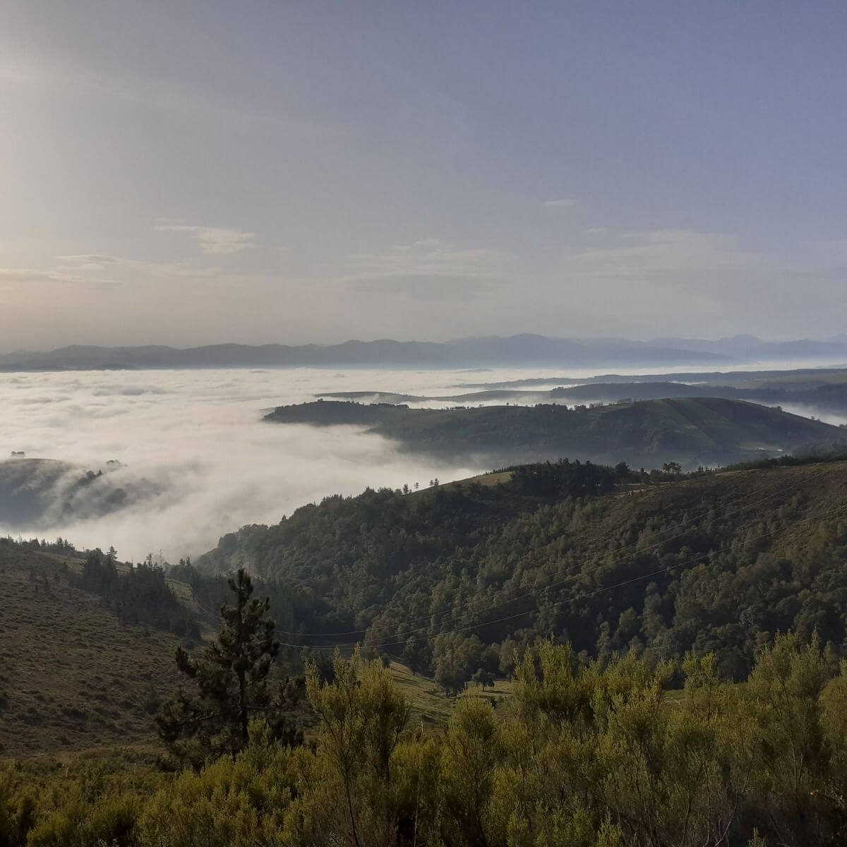 Camino de Santiago 2